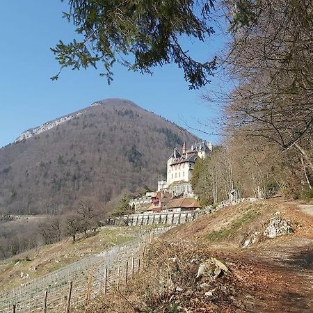 Charmant Appartement Lac D'Annecy / Ski - 6 Pers Menthon-Saint-Bernard Buitenkant foto