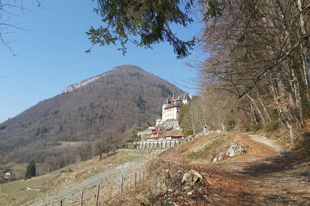 Charmant Appartement Lac D'Annecy / Ski - 6 Pers Menthon-Saint-Bernard Buitenkant foto